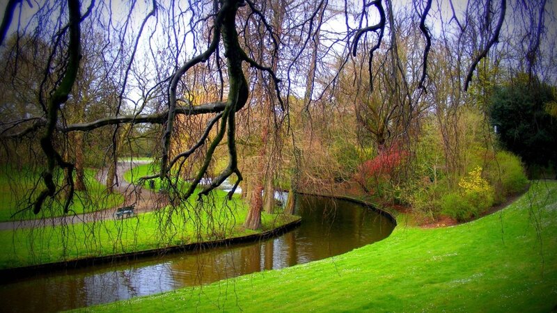 River in Park Landscape — Green, Serene