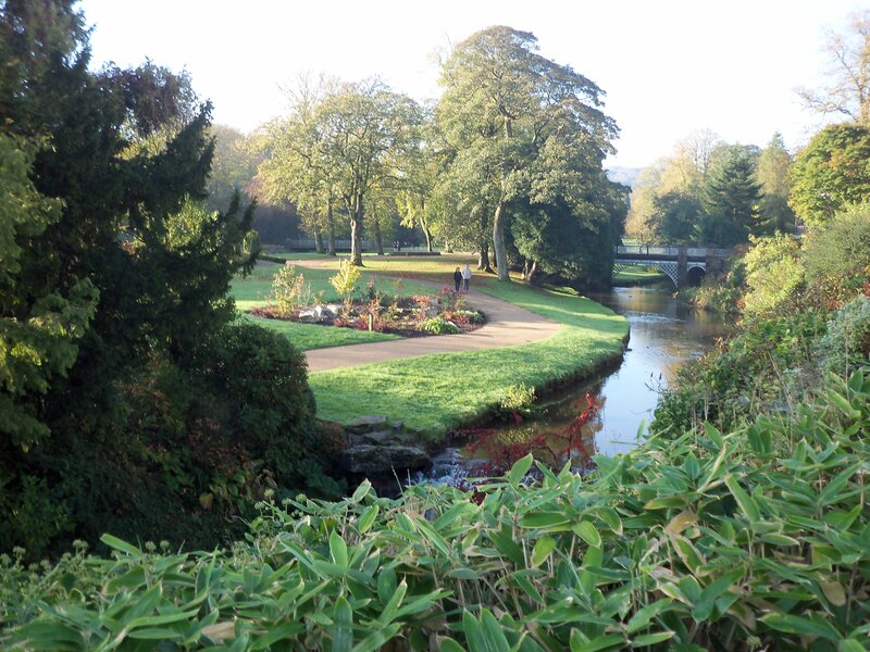 River in Park Landscape — Green