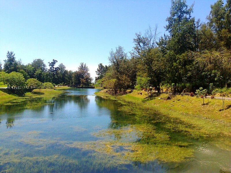 River in Park Landscape