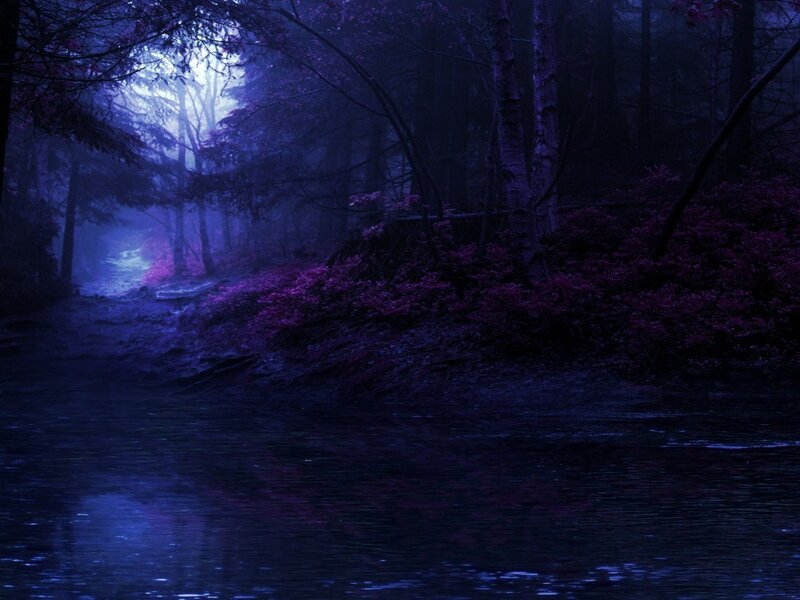 River in Purple Forest — Mysterious