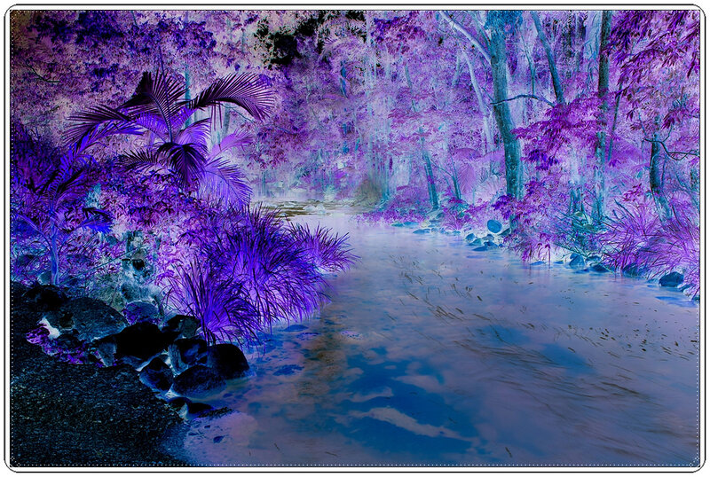 River in Purple Forest