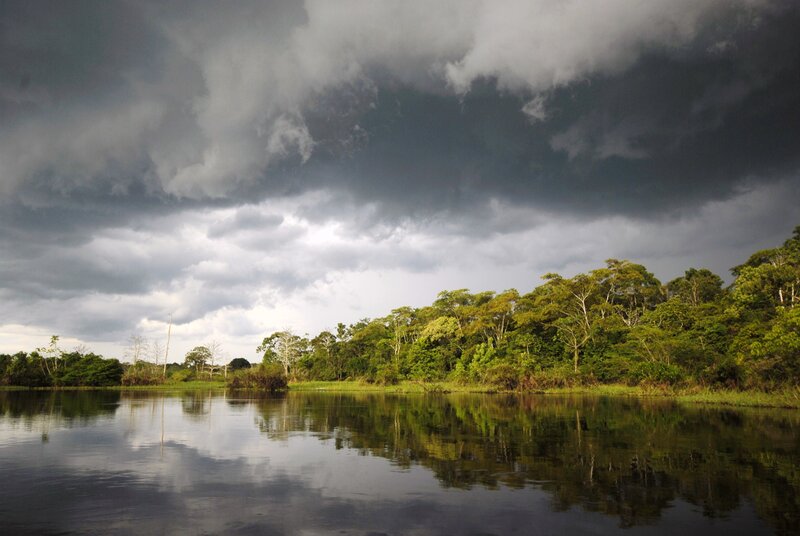 River in Rainforest