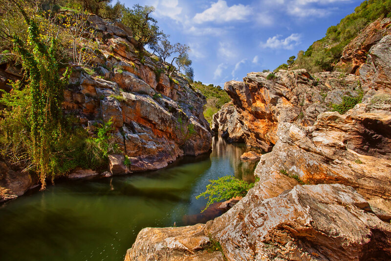 River in Rocky Canyon — Green, Serene, Afternoon, Photograph