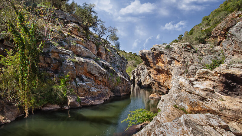 River in Rocky Canyon — Green, Serene, Afternoon