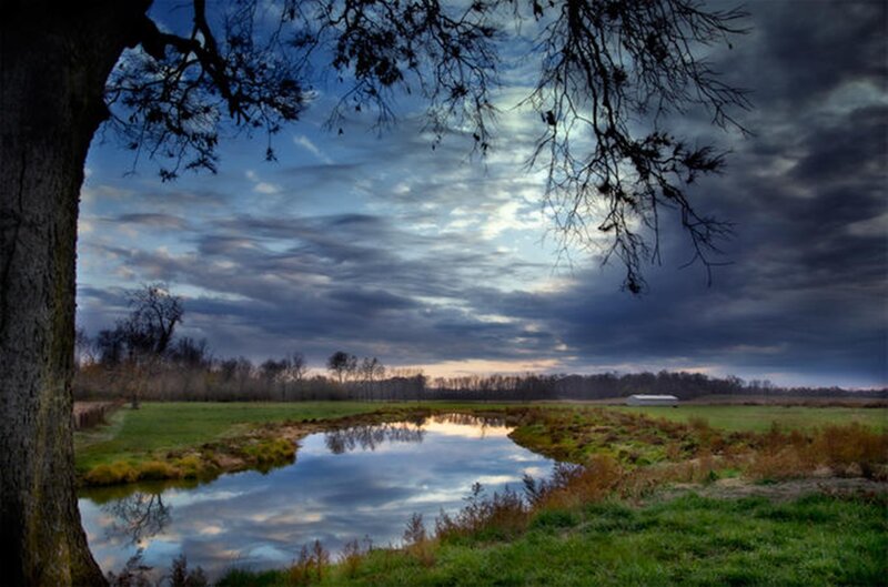 River in Rural Field