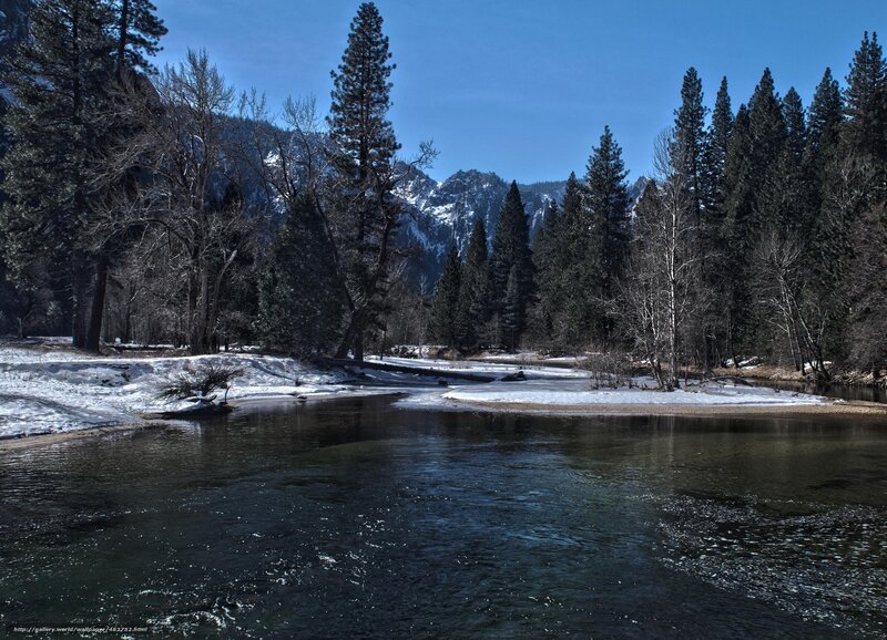 River in snowy forest