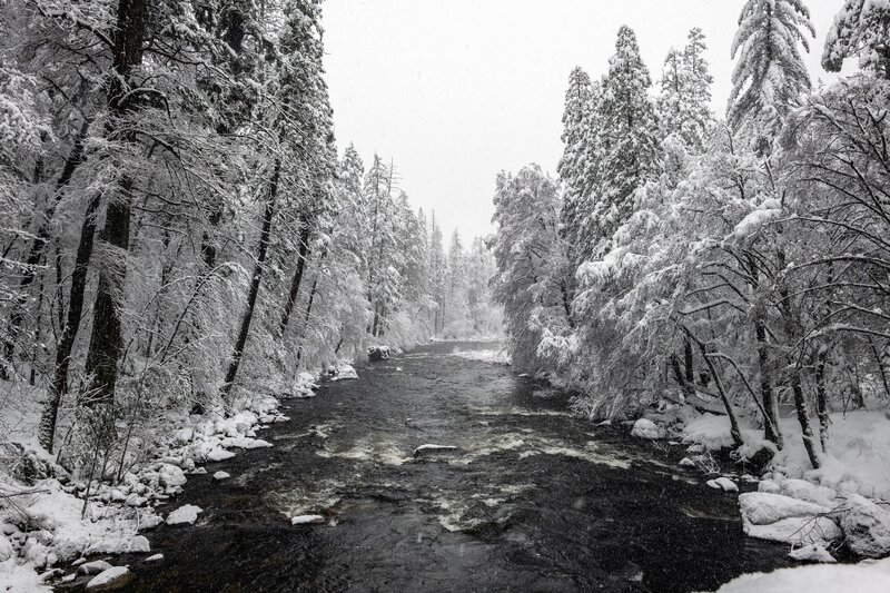 River in Snowy Forest — Black, Serene