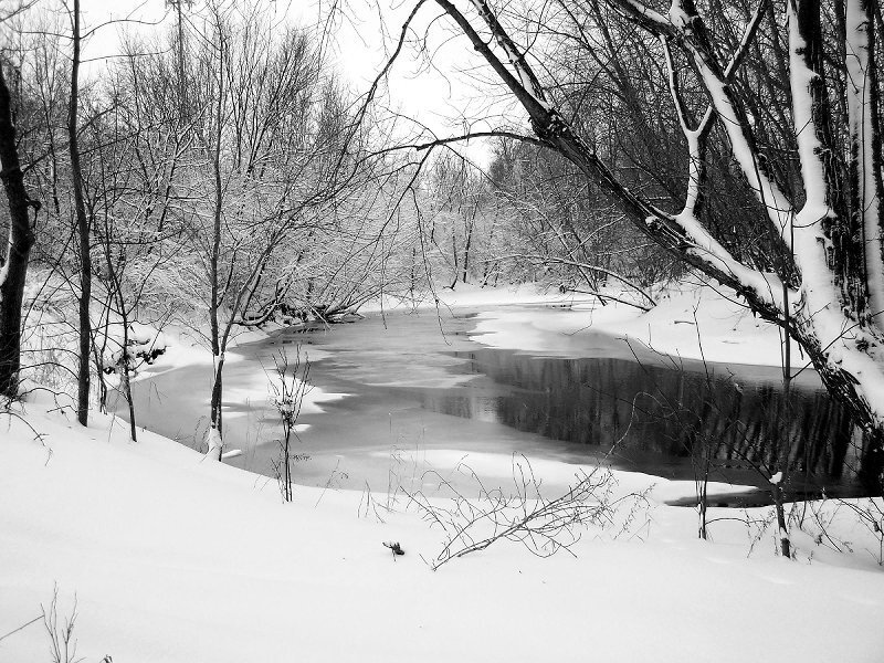 River in Snowy Forest — Black