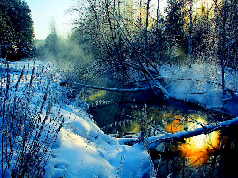 River in Snowy Forest — Blue, Serene, Winter, Photograph, Snow, Trees, Sunlight