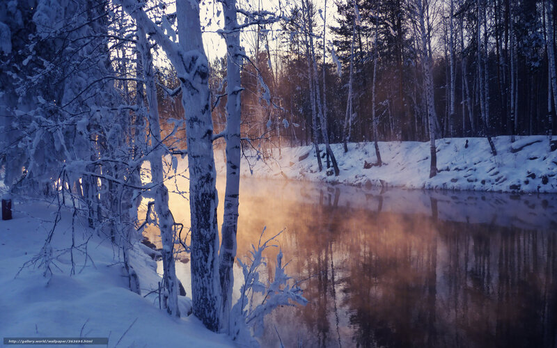 River in Snowy Forest — Blue, Serene, Winter, Photograph, Trees, Snow, Steam