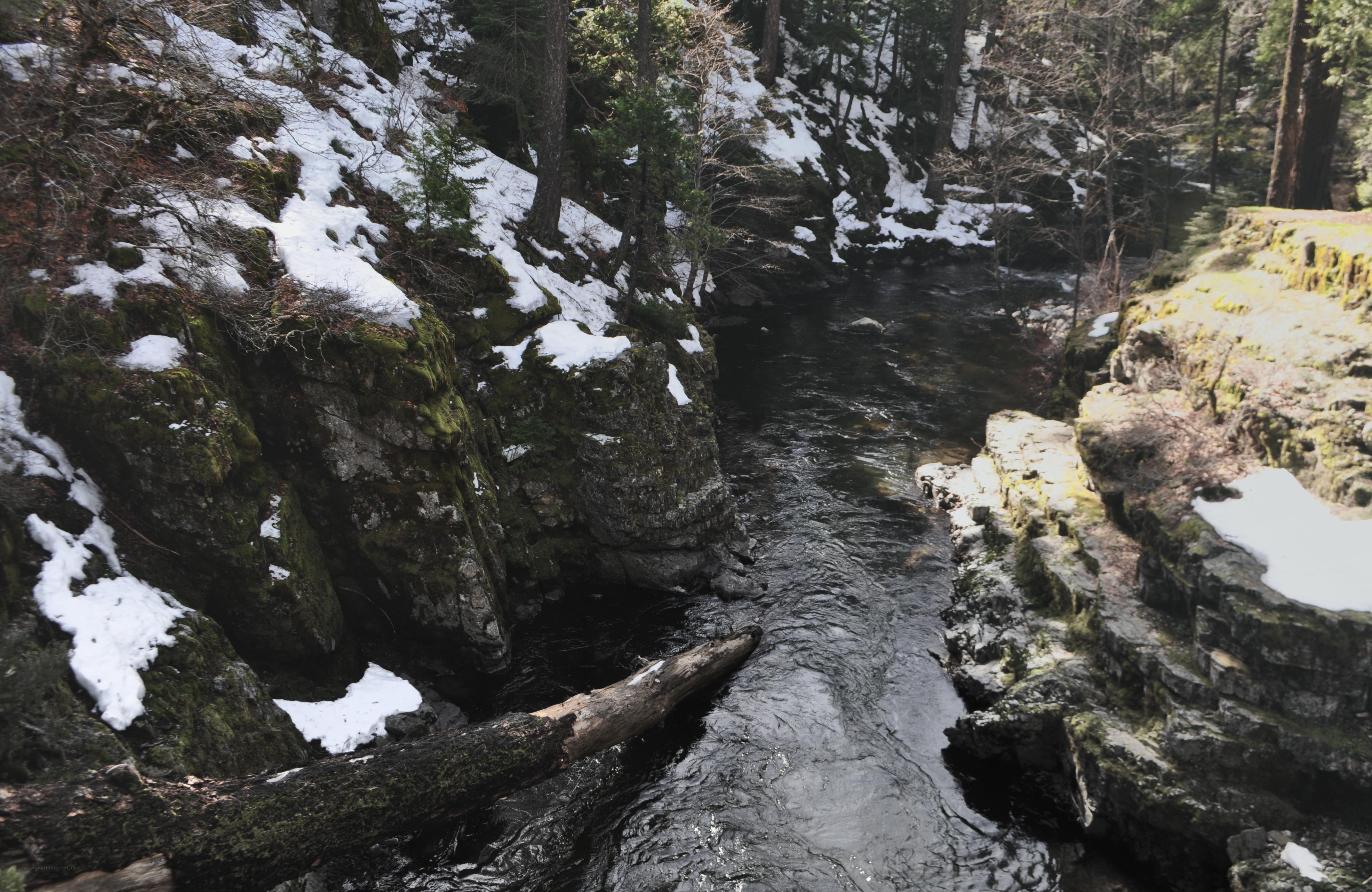 river in snowy forest canyon
