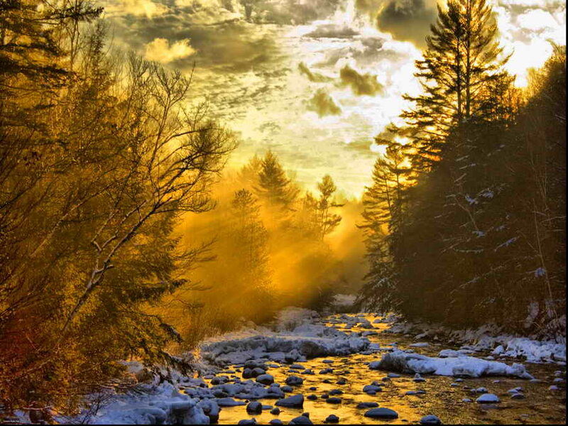 River in Snowy Forest — Gold, Dramatic
