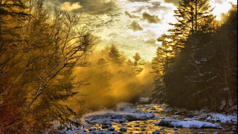River in Snowy Forest — Gold, Dramatic, Winter