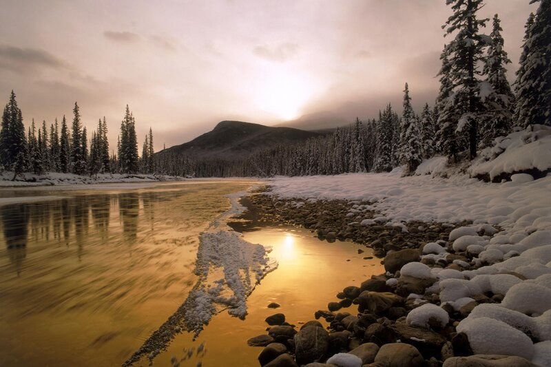 River in Snowy Forest — Gold, Serene, Sunset, Photograph, Snow, Trees, Mountain, White
