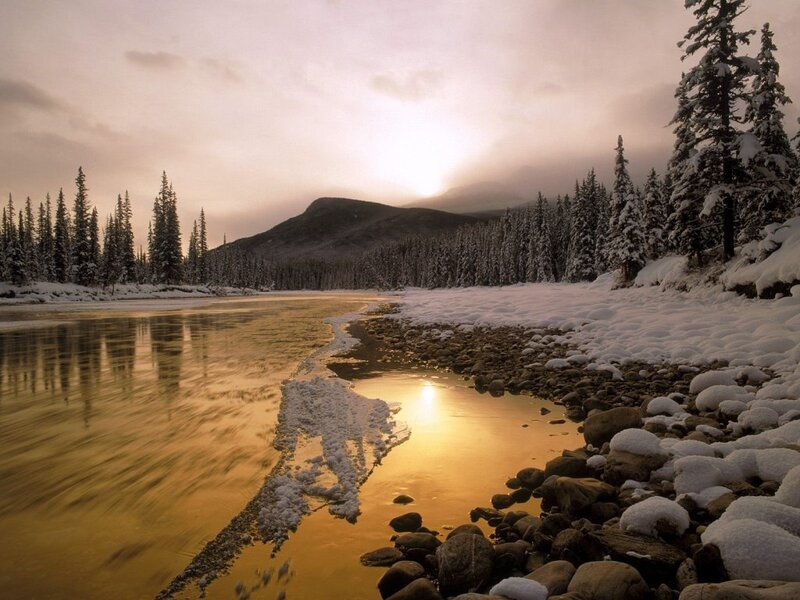 River in Snowy Forest — Gold, Serene, Sunset, Photograph, Trees