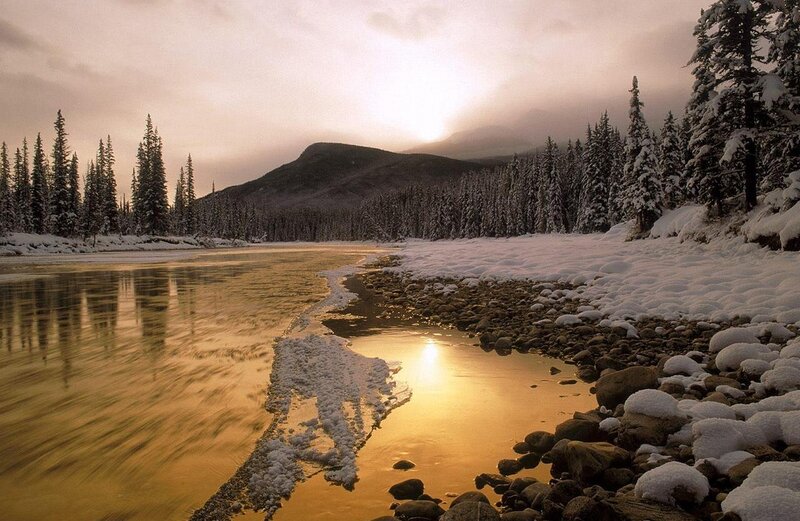River in Snowy Forest — Gold, Serene, Sunset