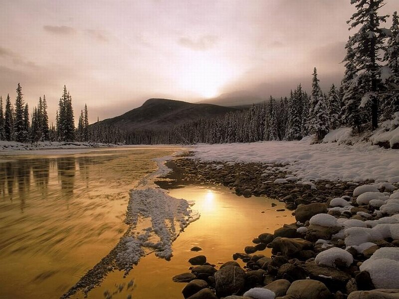 River in Snowy Forest — Gold, Serene
