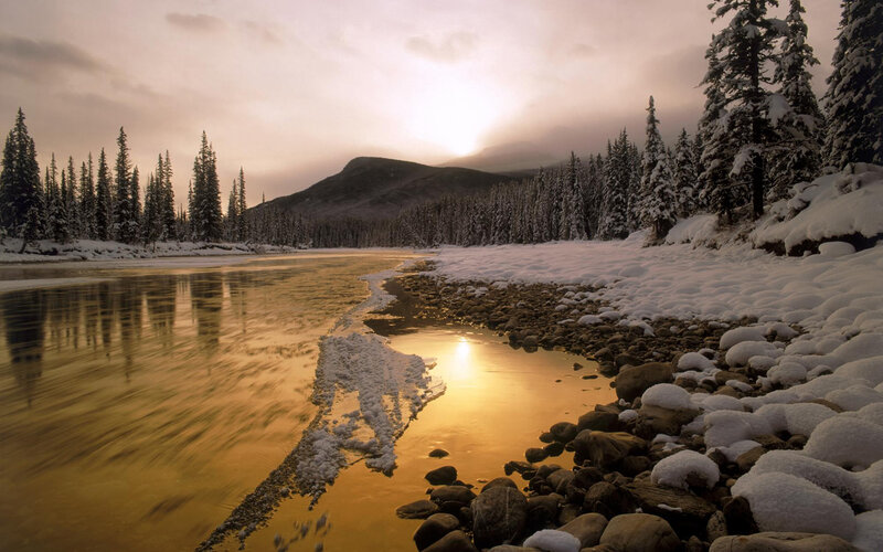 River in Snowy Forest — Gold, Serene, Winter, Photograph, Snow, Trees