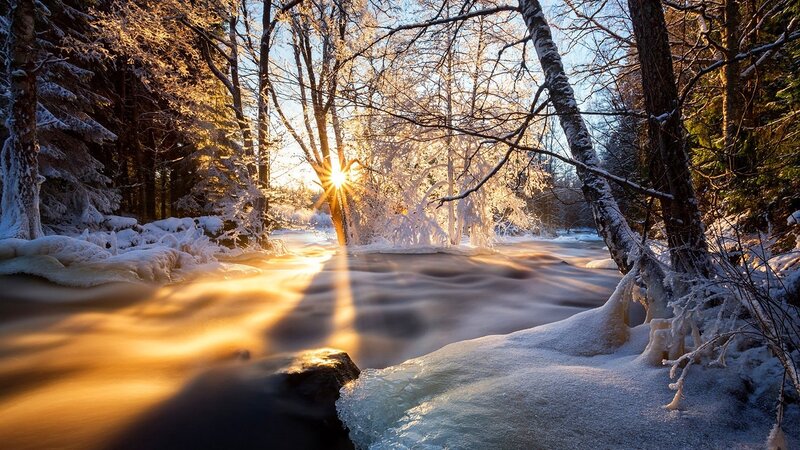 River in Snowy Forest — Gold, Serene, Winter, Photograph, Sun