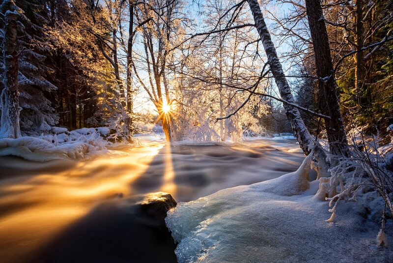 River in Snowy Forest — Gold, Serene, Winter