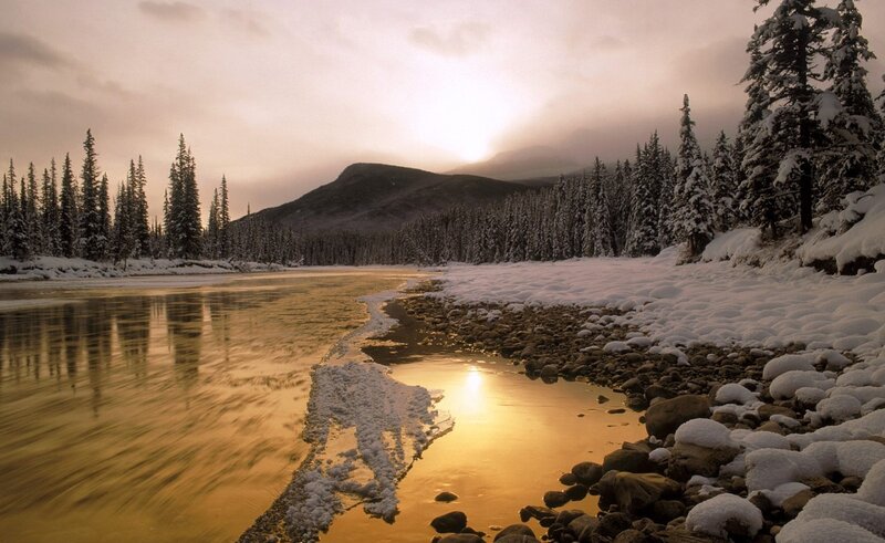 River in Snowy Forest — Gold