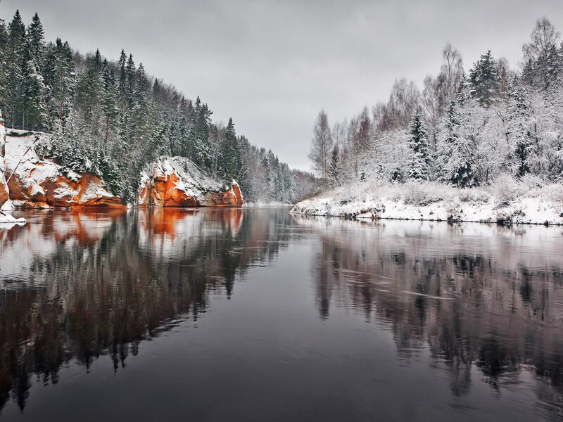 River in Snowy Forest — Gray