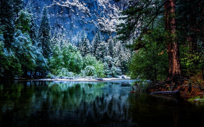 River in Snowy Forest — Green, Serene