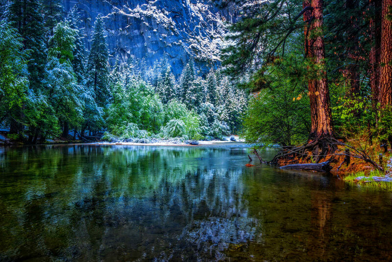 River in Snowy Forest — Green