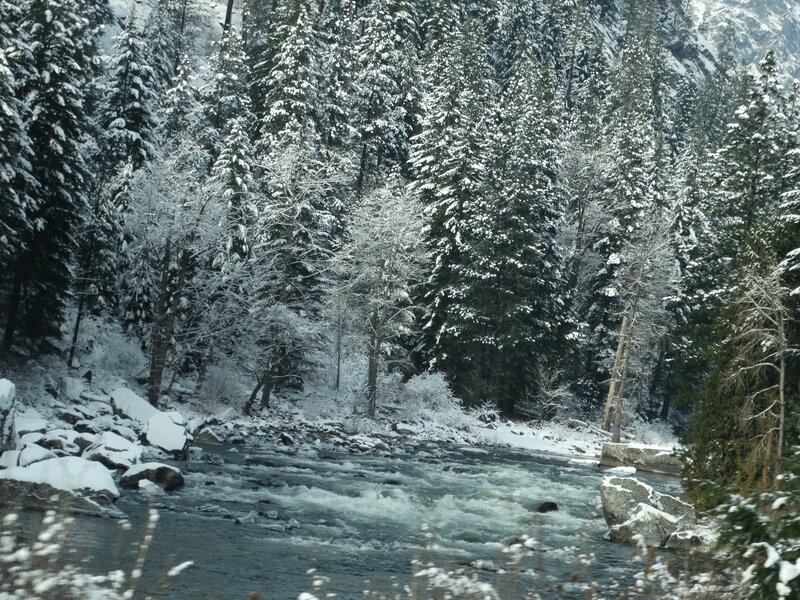 River in Snowy Forest — White, Cold