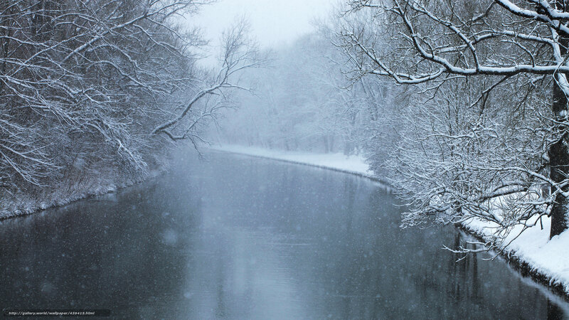 River in Snowy Forest — White, Cold, Winter