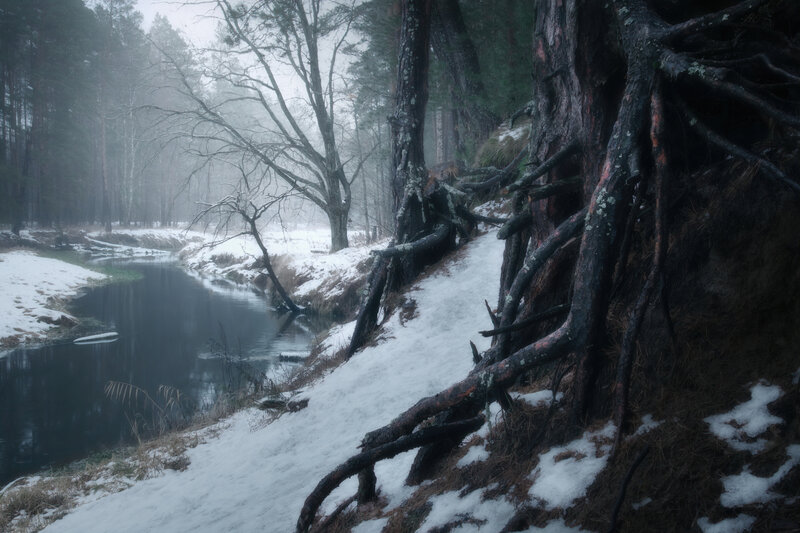 River in Snowy Forest — White, Misty, Winter
