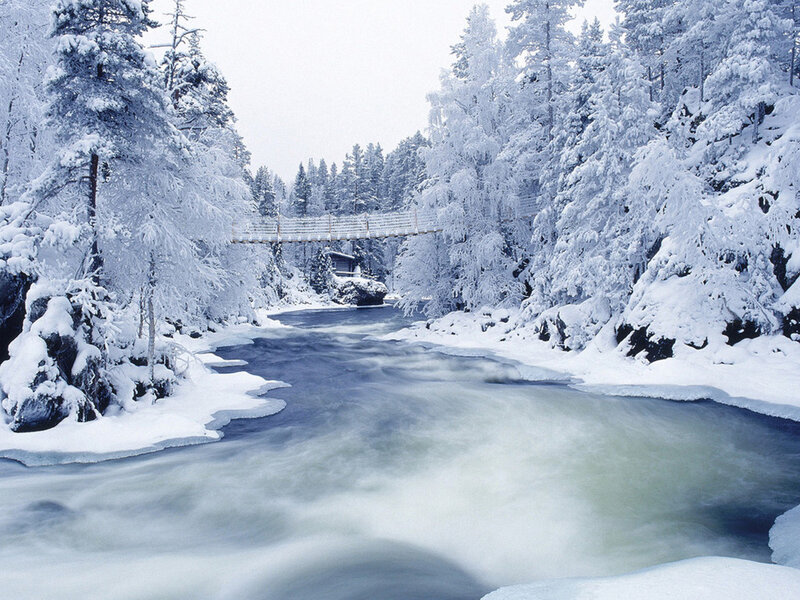 River in Snowy Forest — White, Serene
