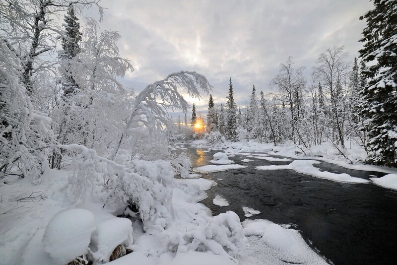 River in Snowy Forest — White, Serene, Winter, Photograph, Snow, Trees, Sun