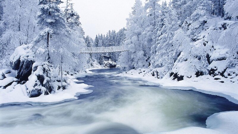 River in Snowy Forest — White, Serene, Winter, Photograph