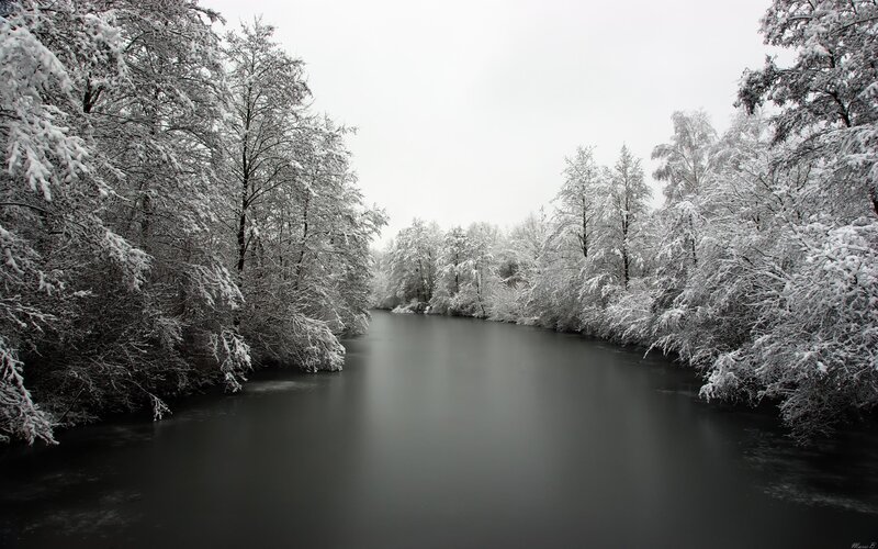 River in Snowy Forest — White, Serene, Winter, Photograph, Trees, Snow, Black