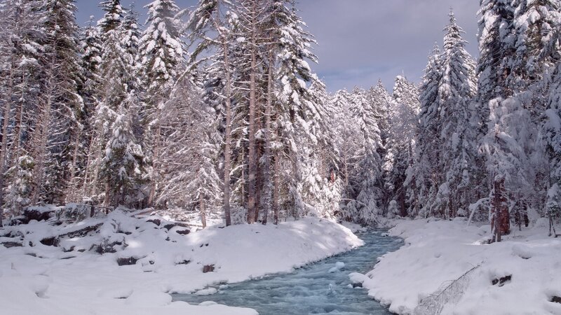 River in Snowy Forest — White, Serene, Winter, Photograph, Trees, Snow, Blue, Green