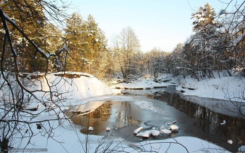 River in Snowy Forest — White, Serene, Winter, Photograph, Trees, Snow, Ice