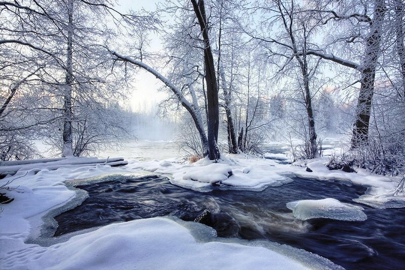 River in Snowy Forest — White, Serene, Winter, Photograph, Trees