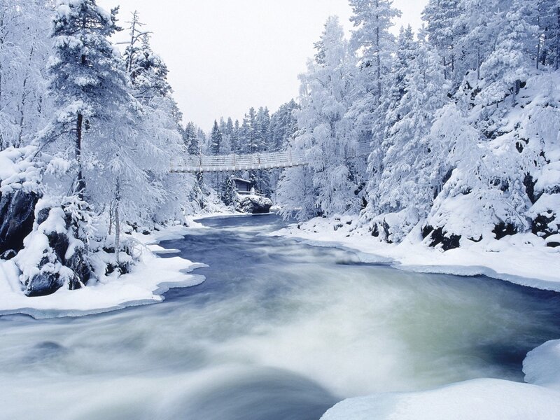 River in Snowy Forest — White