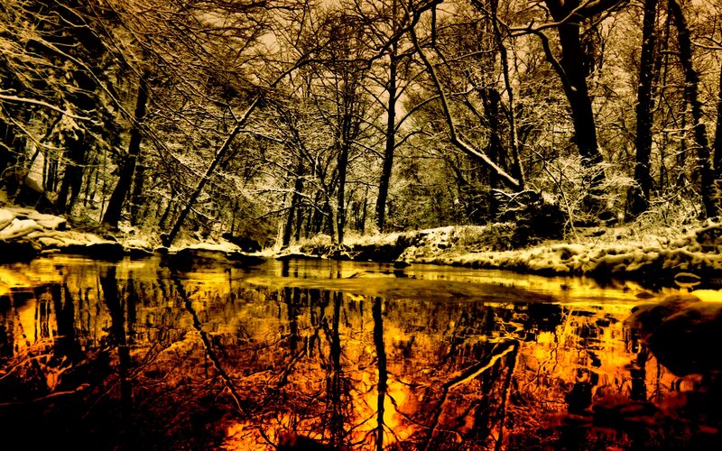 River in Snowy Forest — Yellow