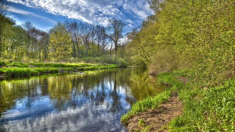 River in Spring Forest — Green, Serene, Photograph