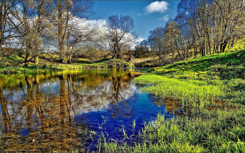 River in Spring Landscape