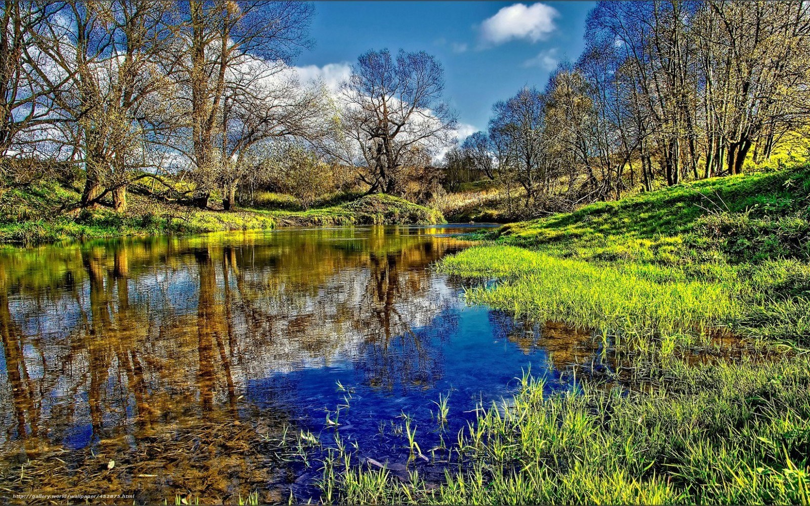 River in Spring Landscape