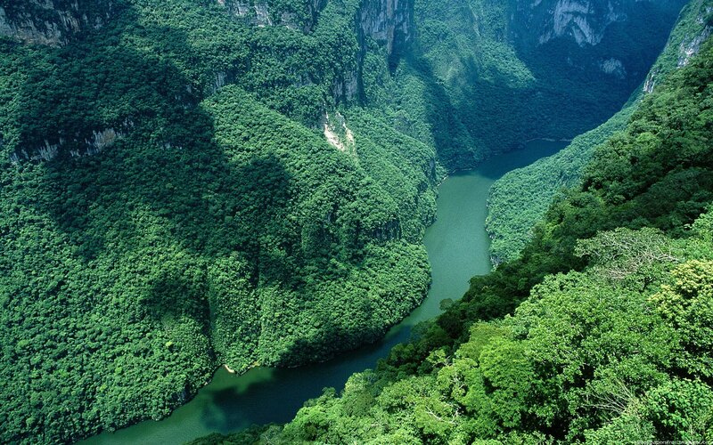 River in Tropical Canyon