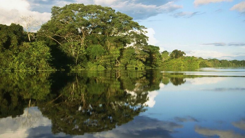 River in tropical forest