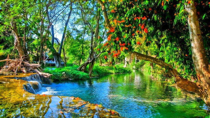 River in Tropical Forest — Green, Serene, Afternoon, Photograph, Trees, Flowers