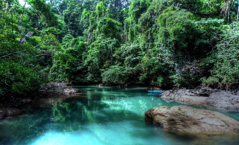 River in Tropical Forest — Green, Serene, Afternoon, Photograph, Trees, Rocks