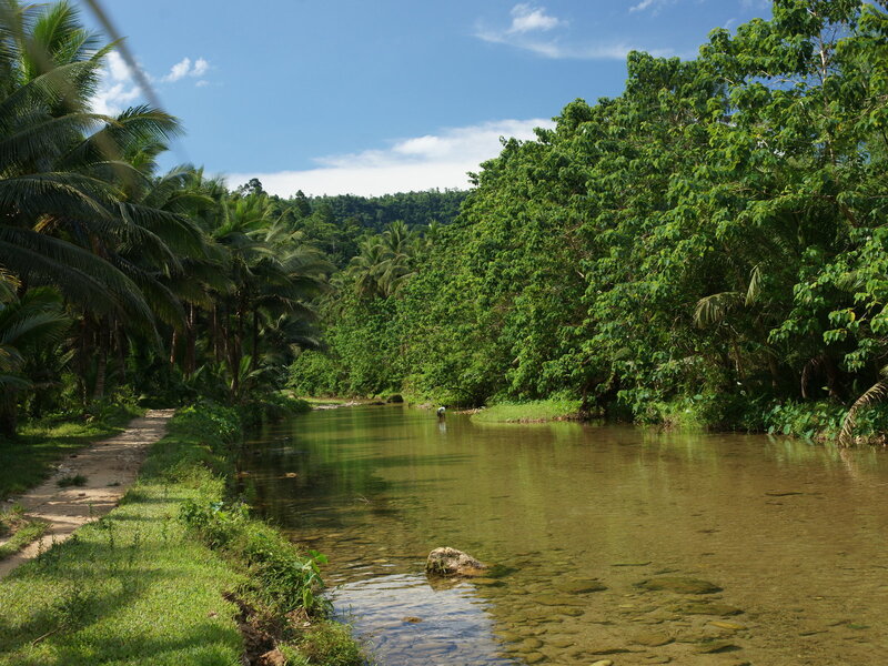 River in Tropical Forest — Green, Serene