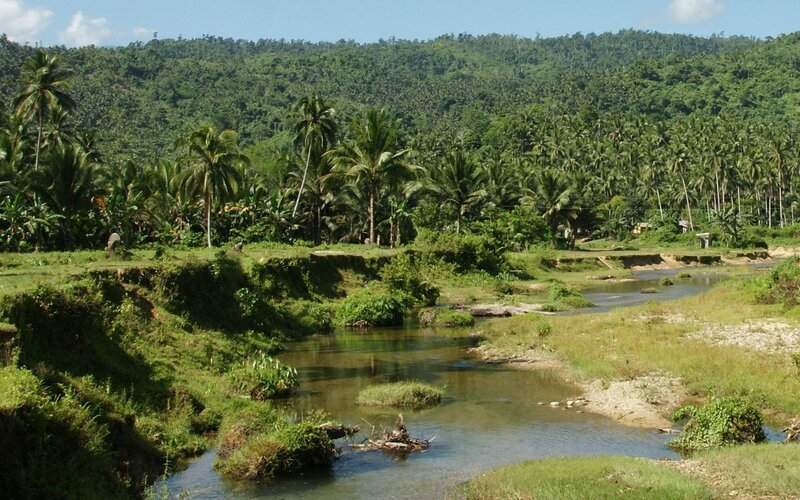 River in tropical landscape