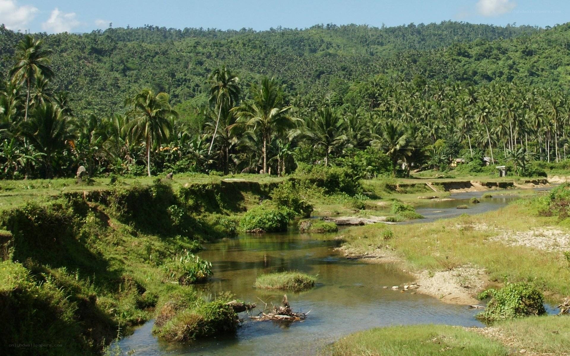 River in tropical landscape